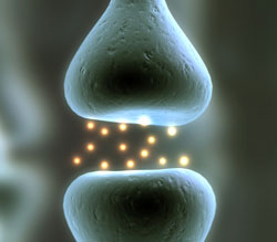 If we are dealing with a functional problem, something that we might call a problem of the brain's operating system, then that should be the target of therapy directly. So what is the remedy? It is brain training.